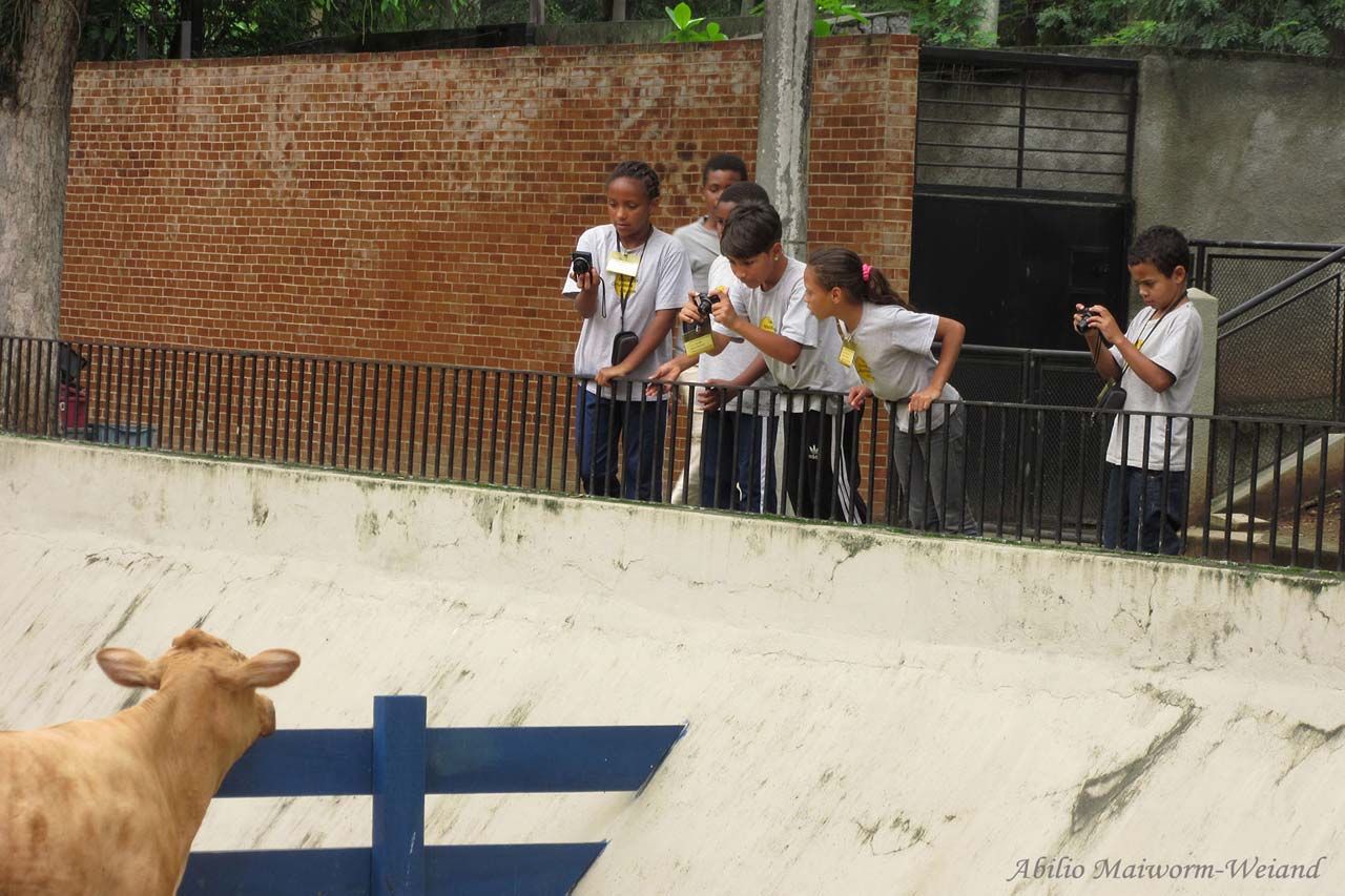 Schulprojekt in Brasilien abgeschlossen